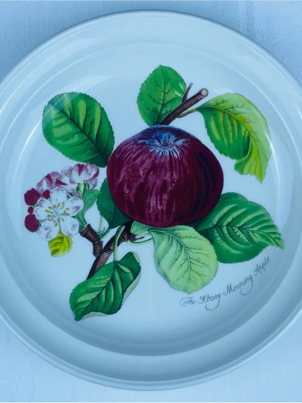 Set of 4 Vintage Portmeirion Pomana Dessert Plates 7.35” Fruit Goddess Design